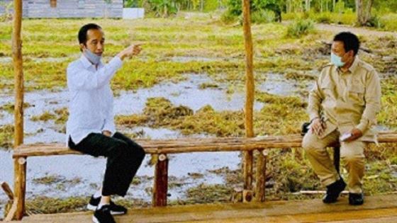 Alasan, Peran dan Tugas Prabowo di Proyek Food Estate