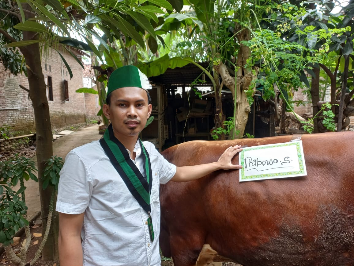BADKO HMI JATENG-D.I.Y Potong Sapi Kurban Berbobot 800 Kg dari Menhan Prabowo