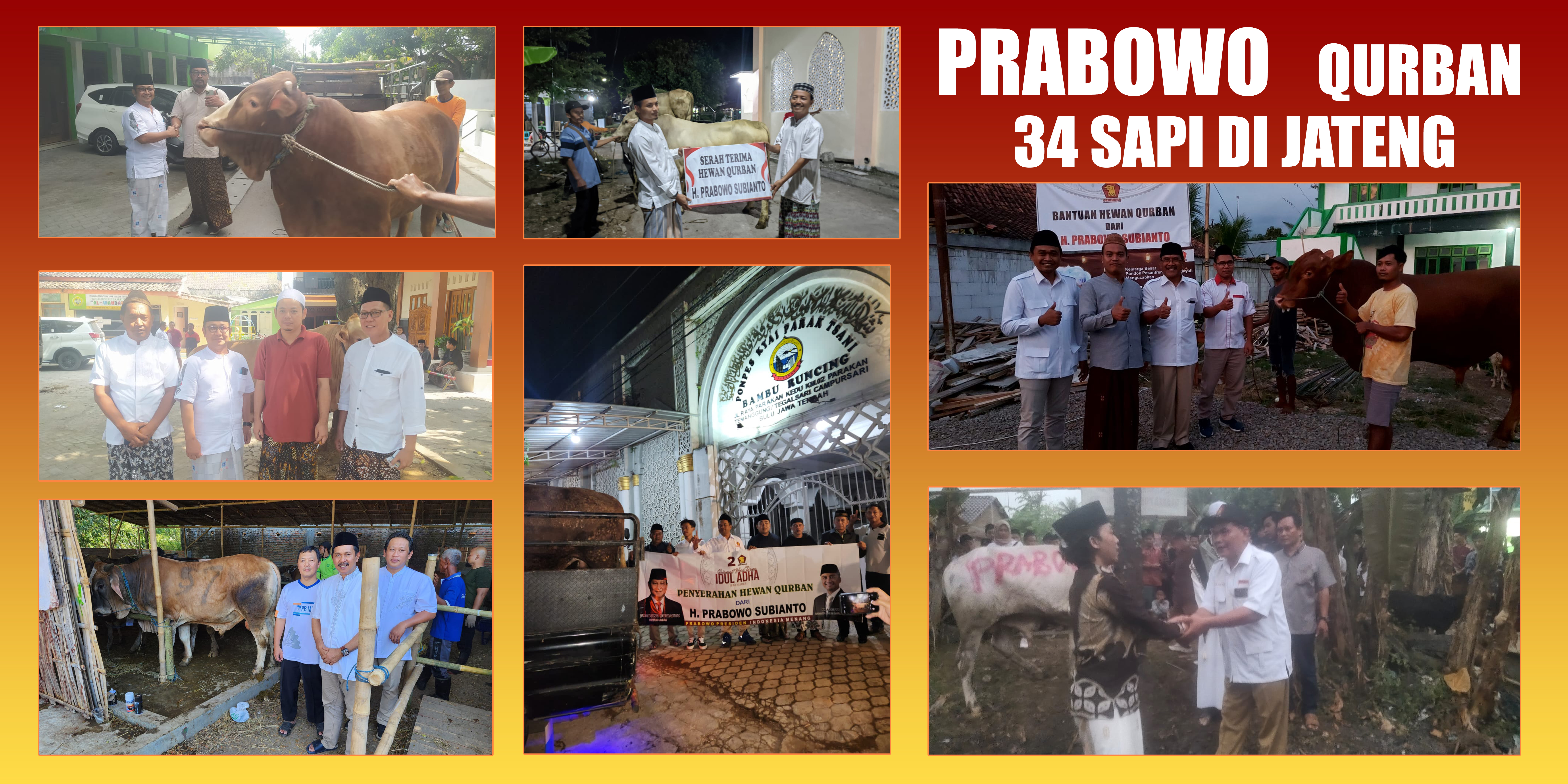 PRABOWO QURBAN 34 SAPI DI JATENG